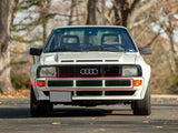 Audi Sport Quattro Front Bumper Grills (set of 3 pieces) Stoßstangengitter
